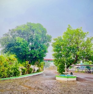 Peaceful Environment